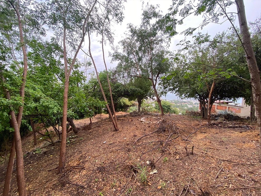 Entorno del terreno y el pueblo de La Cruz de Huanacaxtle.