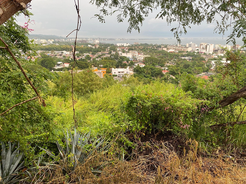 Entorno del terreno y el pueblo de La Cruz de Huanacaxtle.